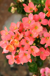 Similar image 191392