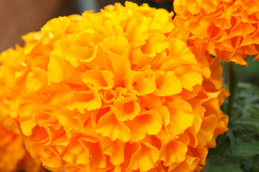 Similar image 191400