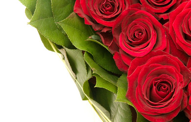 Similar image 191433