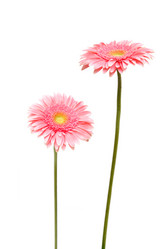 Similar image 191441