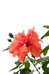 Similar image 191448