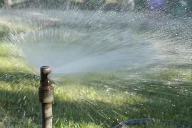 Similar image 191477