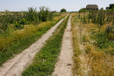 Similar image 191490