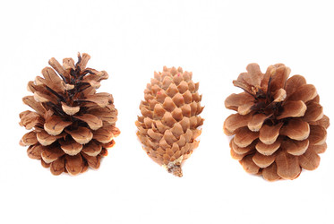 Similar image 191495