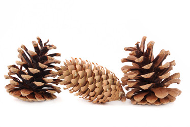 Similar image 191496