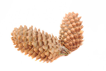 Similar image 191497