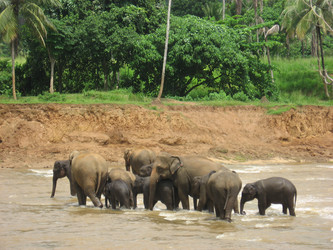 Similar image 191501