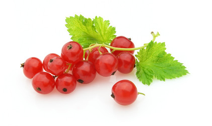 Similar image 191503