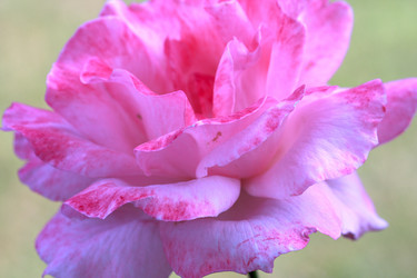 Similar image 191512