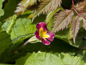 Similar image 191518