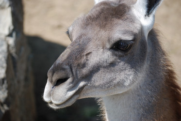 Similar image 191528