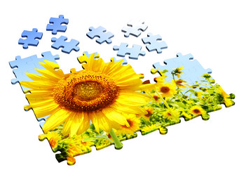 Similar image 191529