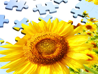 Similar image 191531