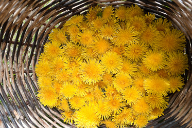 Similar image 191541