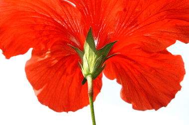 Similar image 191542