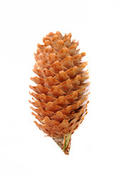 Similar image 191582