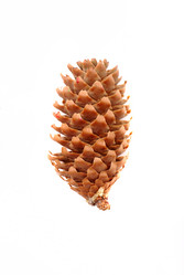 Similar image 191585