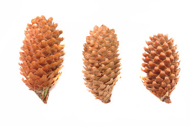 Similar image 191587