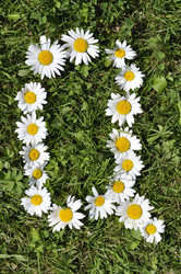 Similar image 191589