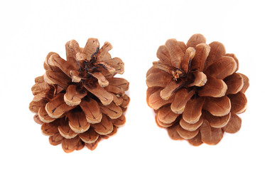 Similar image 191591