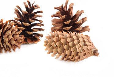 Similar image 191604