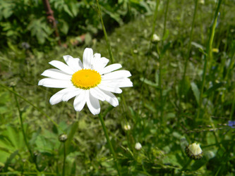 Similar image 191606