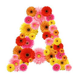 Similar image 191608