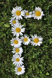 Similar image 191611