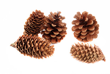 Similar image 191615