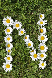 Similar image 191618