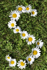 Similar image 191624