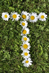 Similar image 191625