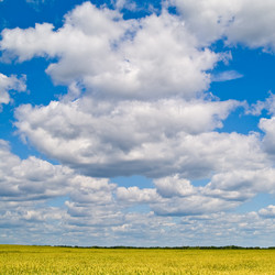 Similar image 191633