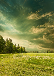 Similar image 191641