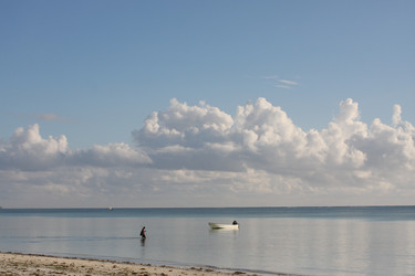 Similar image 191672