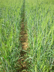 Similar image 191676