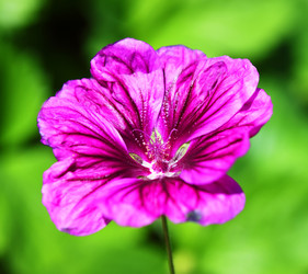 Similar image 191688