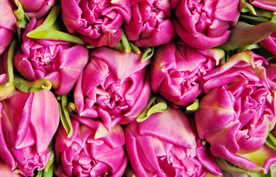 Similar image 191699