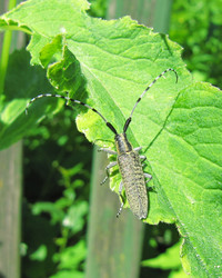 Similar image 191702