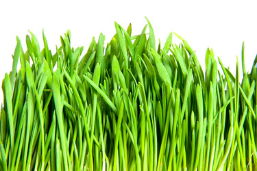 Similar image 191712