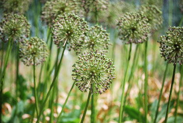 Similar image 191713