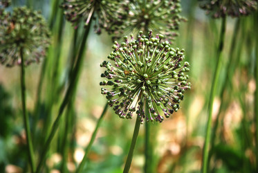 Similar image 191714