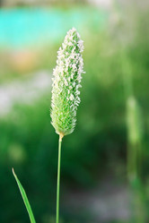 Similar image 191721