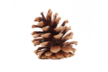 Similar image 191730