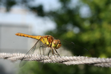 Similar image 191754