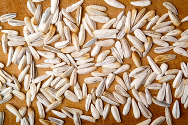 Similar image 191773