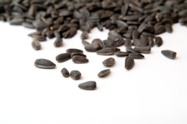 Similar image 191776