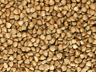 Similar image 191785