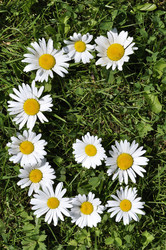 Similar image 191794