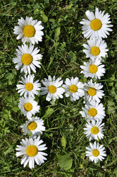 Similar image 191795